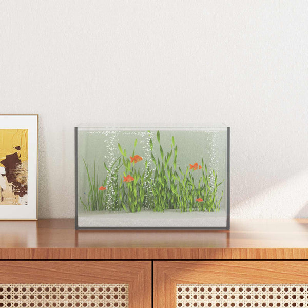 Akvarium med lagring Transparent 30 x 20 x 20 cm Glas
