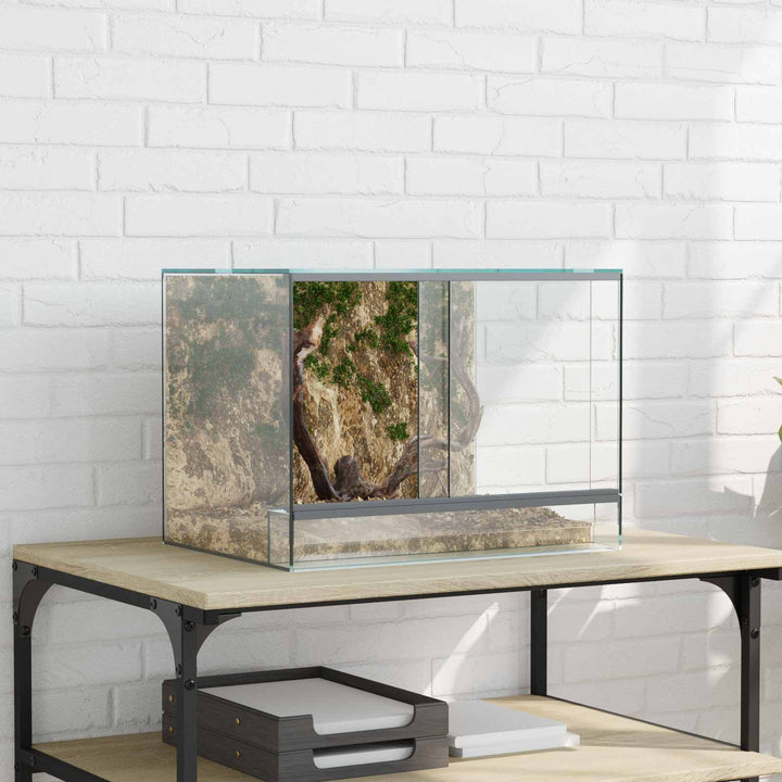 Terrarium med lagring Transparent 40 x 30 x 30 cm Glas