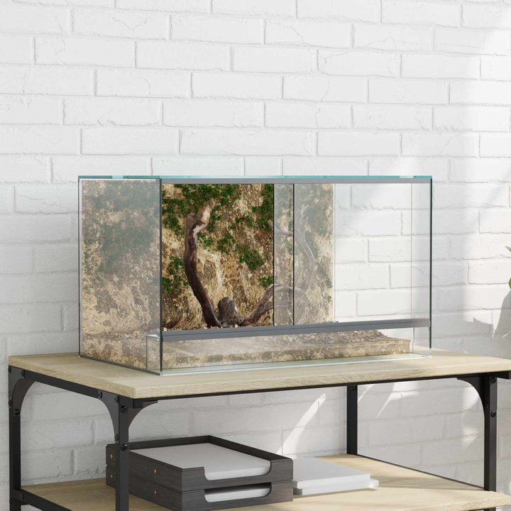 Terrarium med lagring Transparent 50 x 30 x 30 cm Glas