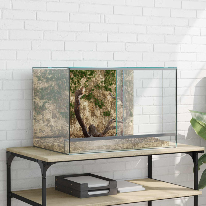 Terrarium med lagring Transparent 60 x 40 x 40 cm Glas