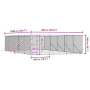 Hundgård för utomhusbruk silver 6x10x2 m galvaniserat stål