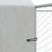 Hundgård med tak silver 10x6x2,5 m galvaniserat stål