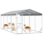 Hundgård med tak silver 3x6x2,5 m galvaniserat stål