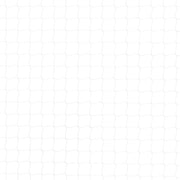 Katnät transparent 12x3 m nylon